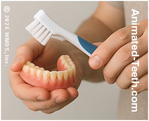 A picture showing a person brushing their denture.