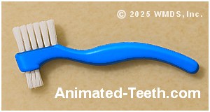 A picture of a denture brush.